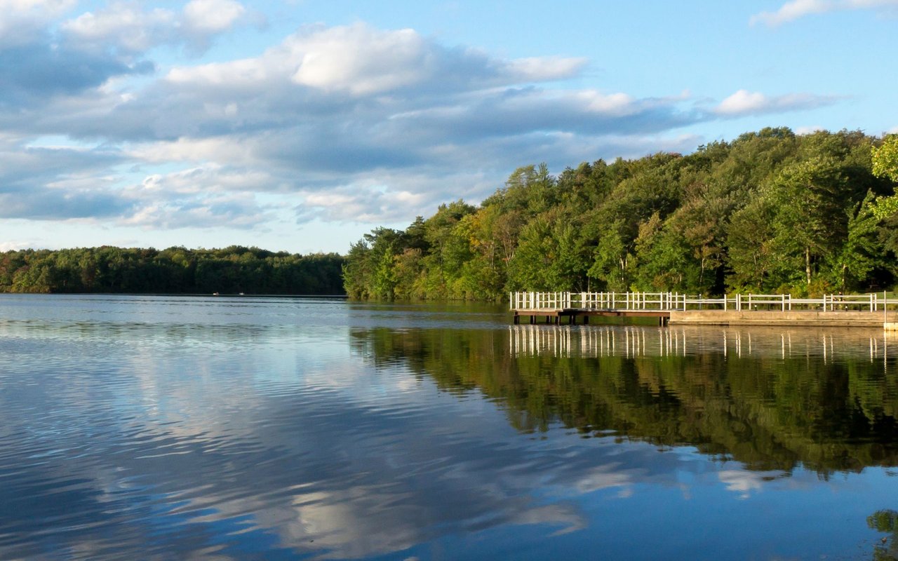 Blakeslee