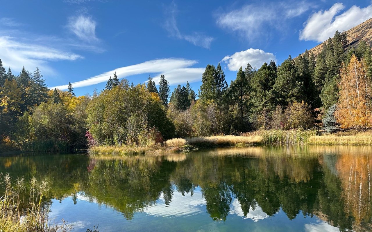 Lake Tapps