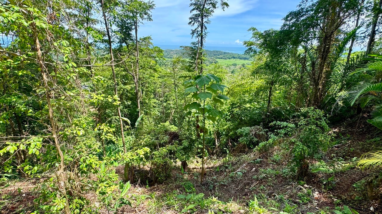 Exclusive and Unique Ocean Views lot in the Hills of Uvita!