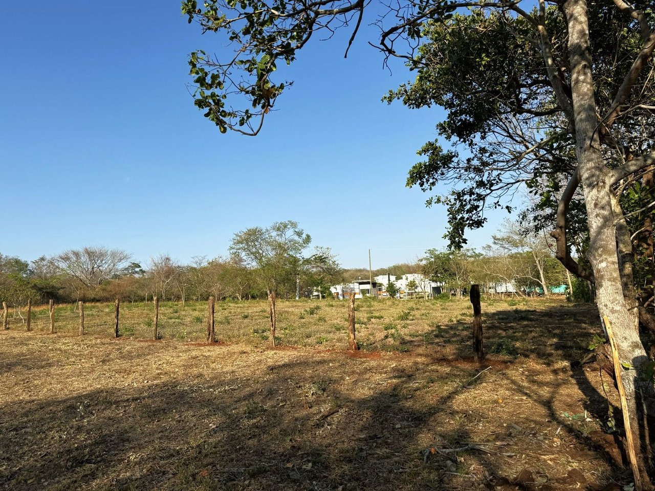 PLAYA AVELLANAS LOT FOR SALE 