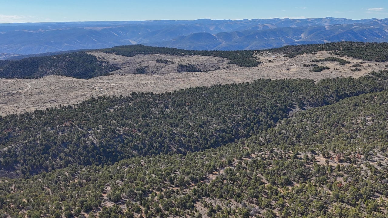 1 W Elk Meadows