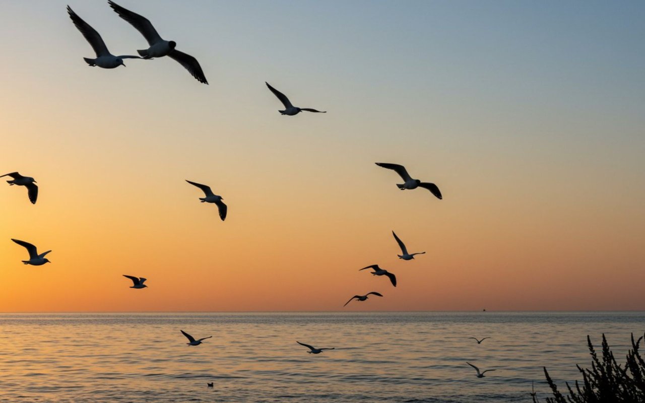 Everything You Need to Know About Moving to San Mateo County