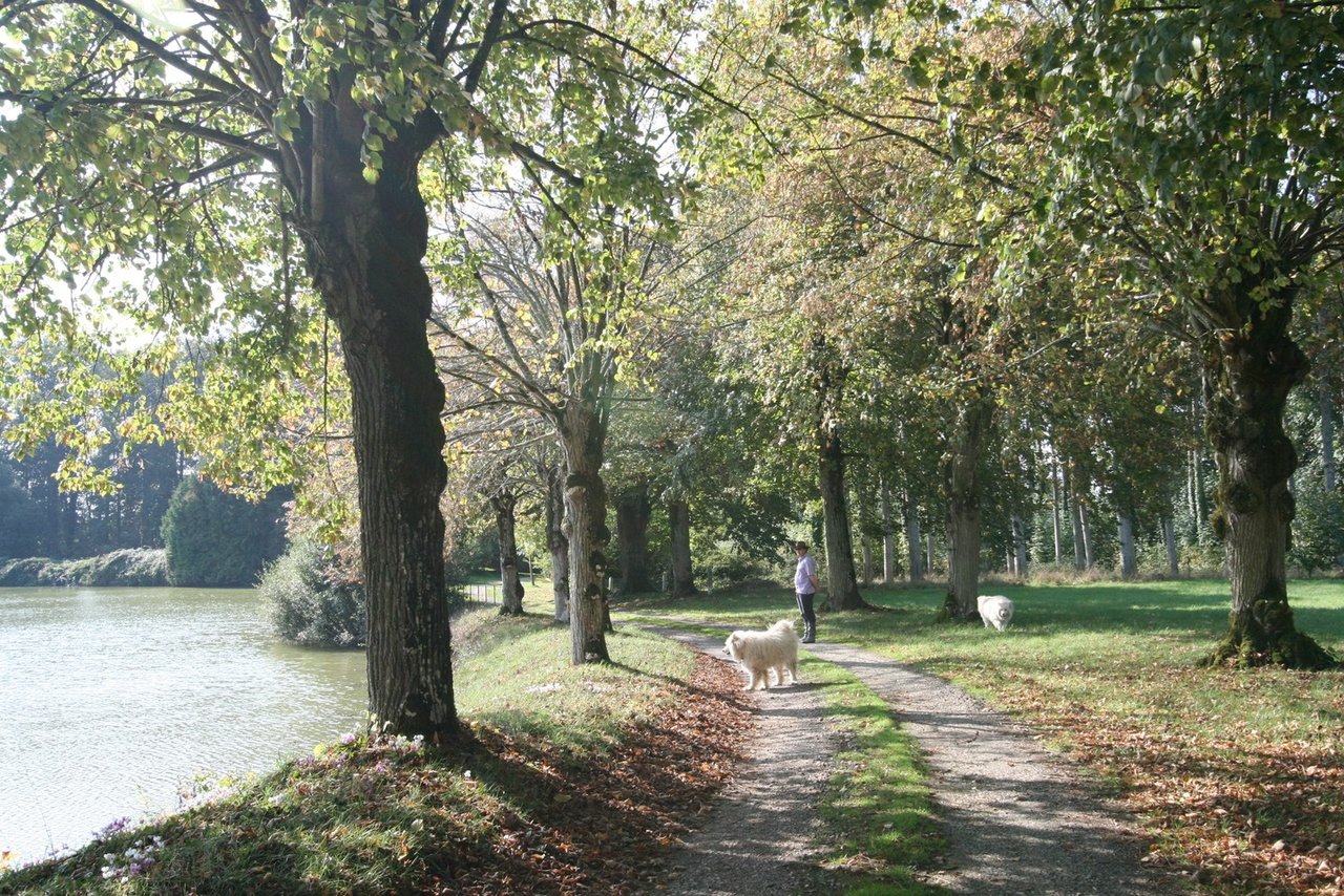 19th Century Fairytale Chateau in Loire Valley