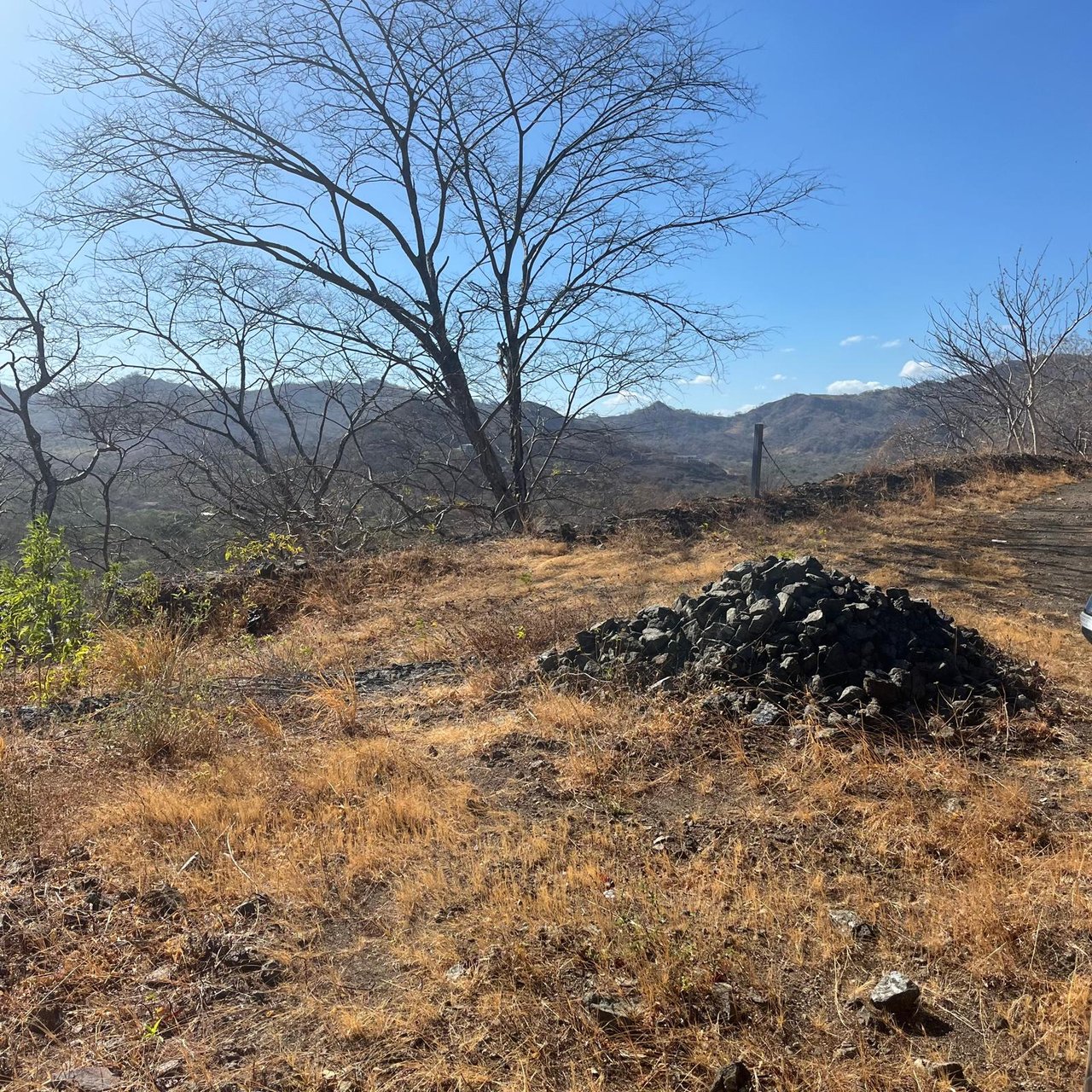 Lot 59 – La Marcela | Tranquil Jungle Ocean View Homesite in Potrero