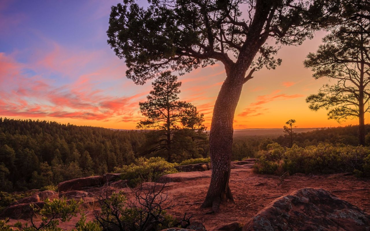 Pinetop-Lakeside