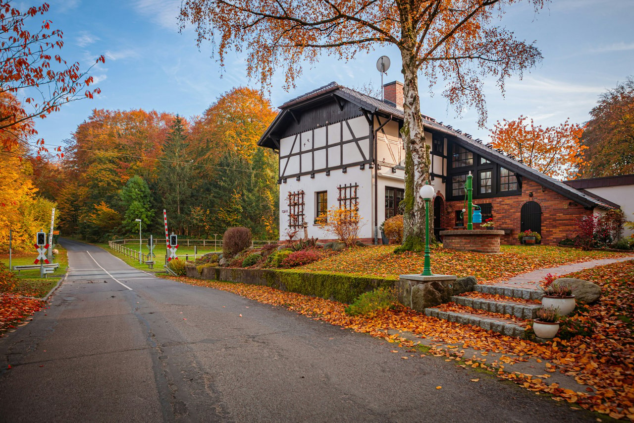 Half-timbered house beside a quiet road, surrounded by vivid autumn foliage and fallen leaves.