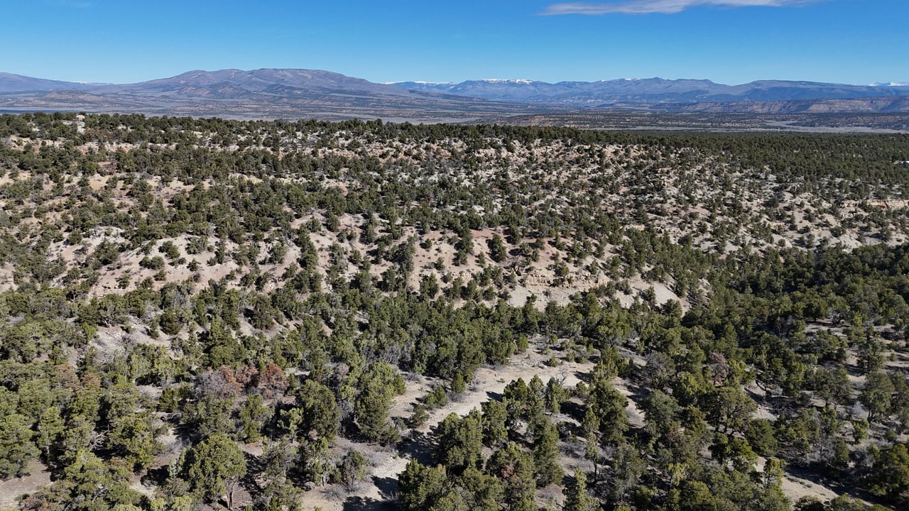 1 W Elk Meadows