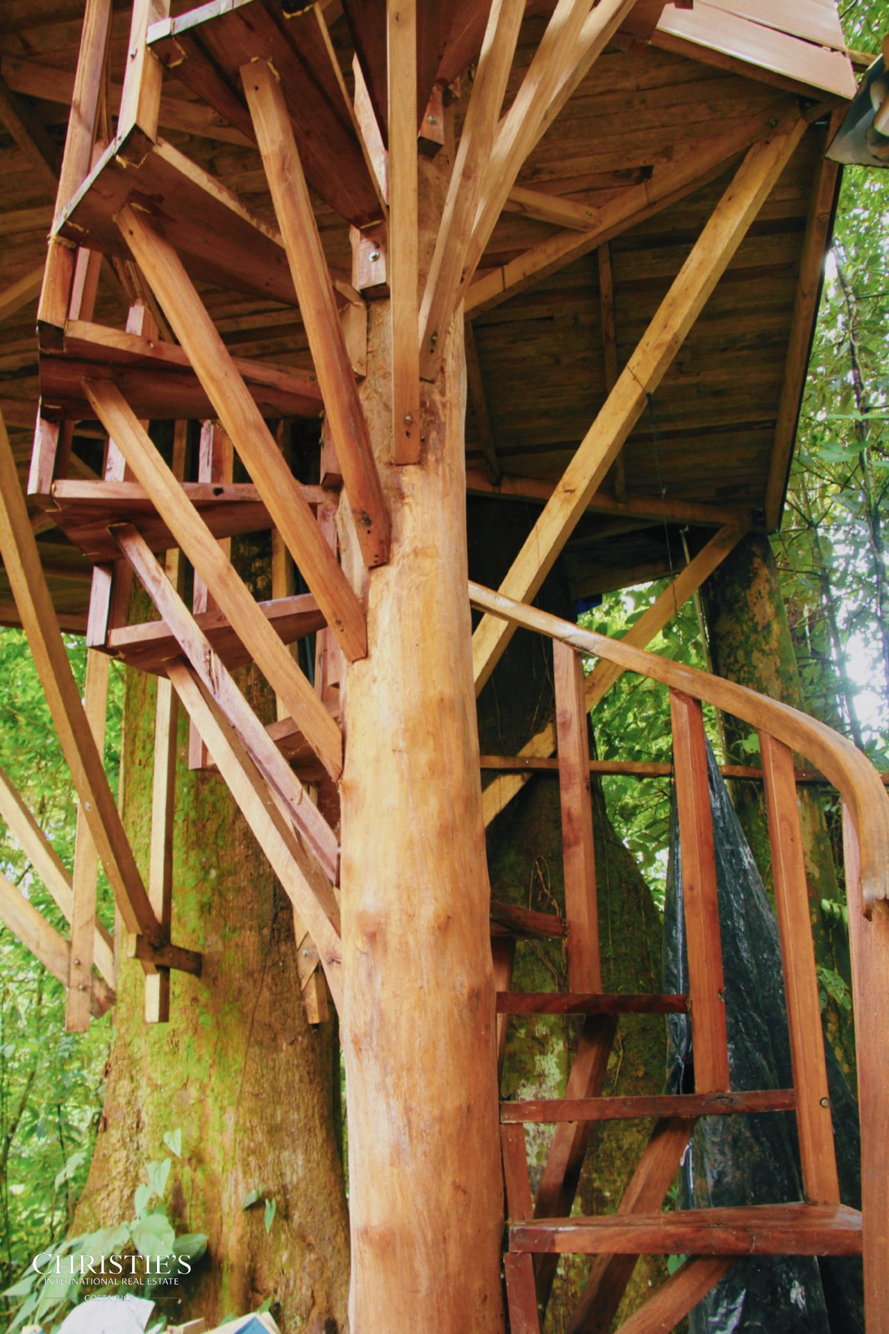 Finca Isla Rainforest Retreat – A Rare Income-Producing Paradise