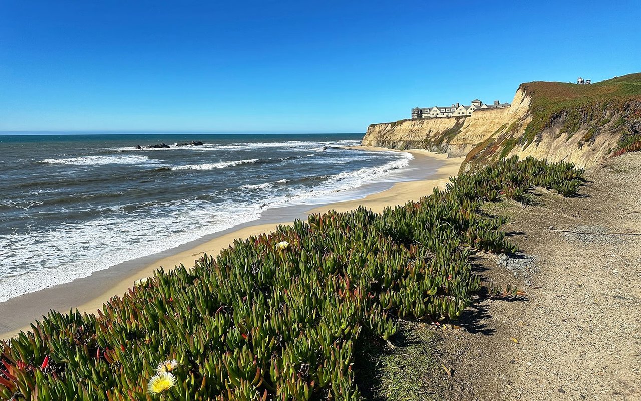 Half Moon Bay shoreline with waves, sandy beach, succulent-covered bluff, and homes atop the cliffs.