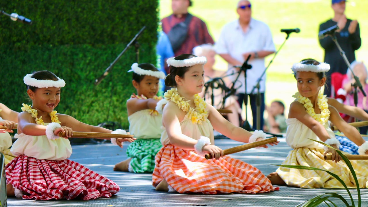 Festivals & Fundraisers 