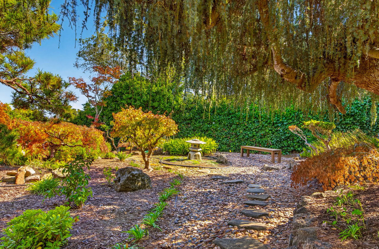 Belvedere Gem on an Incredible Lot