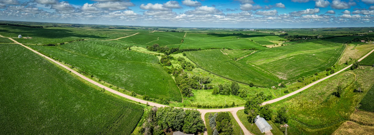 +/- 80 Acres E1/2 SE1/4 13-20-3 Adams Township, Colfax County, Nebraska