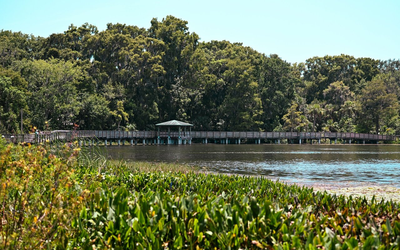 Wooden boardwalk and shelter beside a lake, with dense trees and plants along the shore.