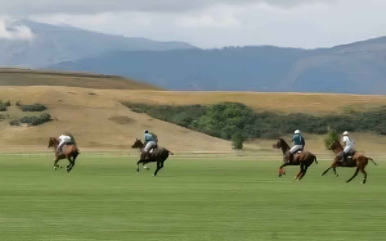Flying H Polo Club