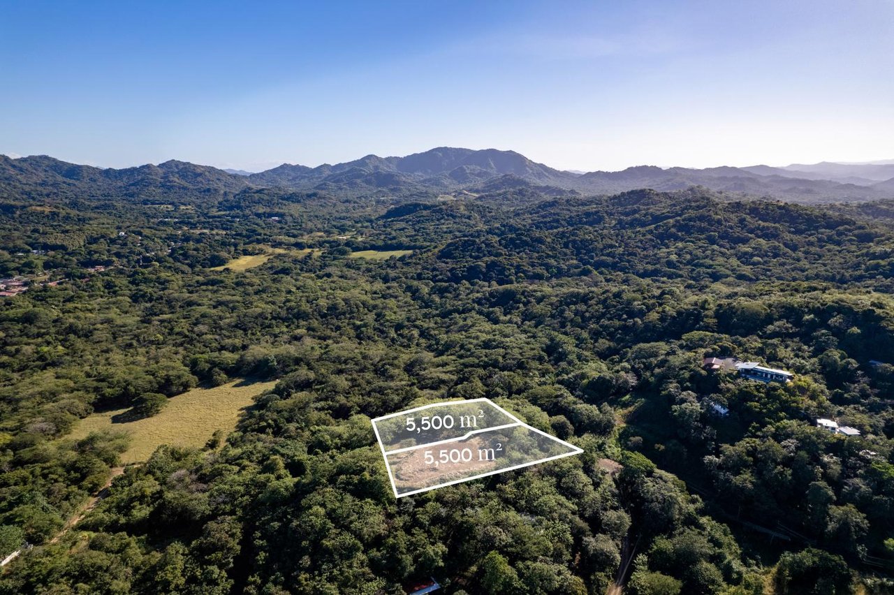 Victoria Real Ocean & Mountain View Lots #3 & #4 | Large Ocean & Mountain View Lot Near Tamarindo