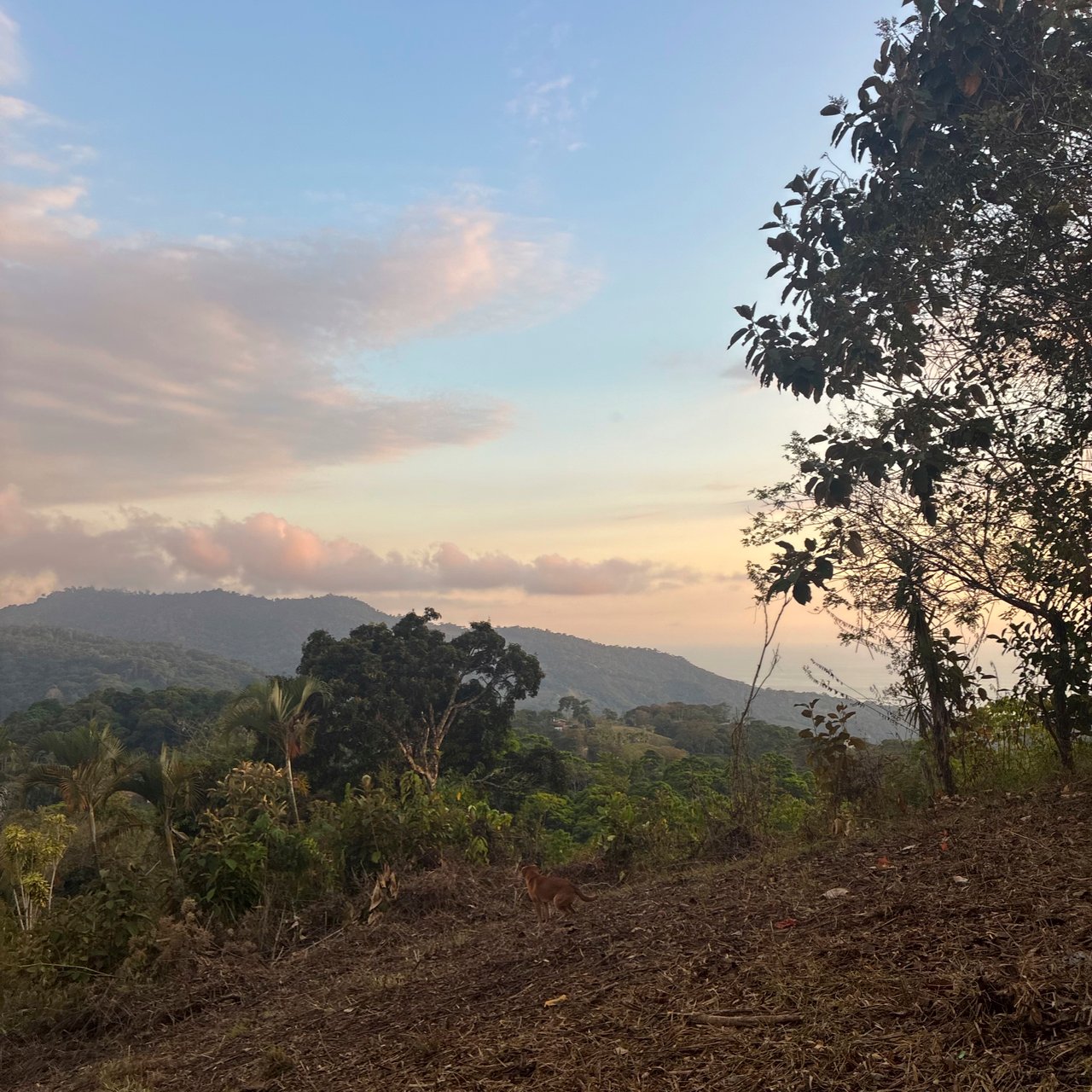 Ocean & Mountain View Lot with Multiple Building Sites-20 Minutes from Uvita