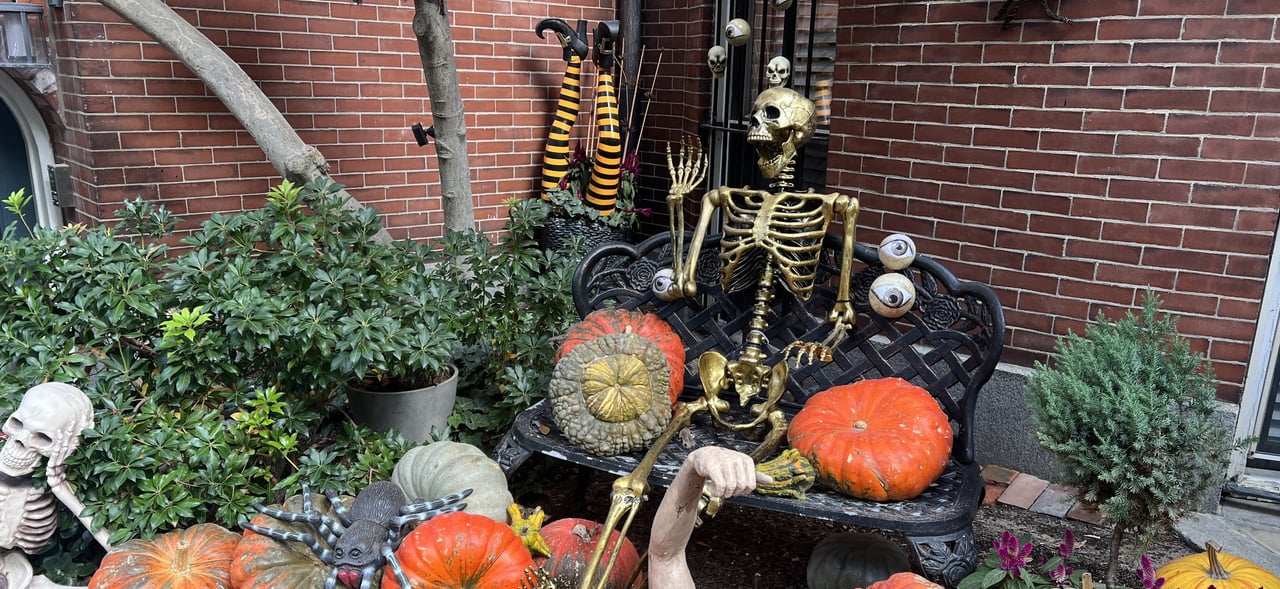 What to boo, what to boo cover