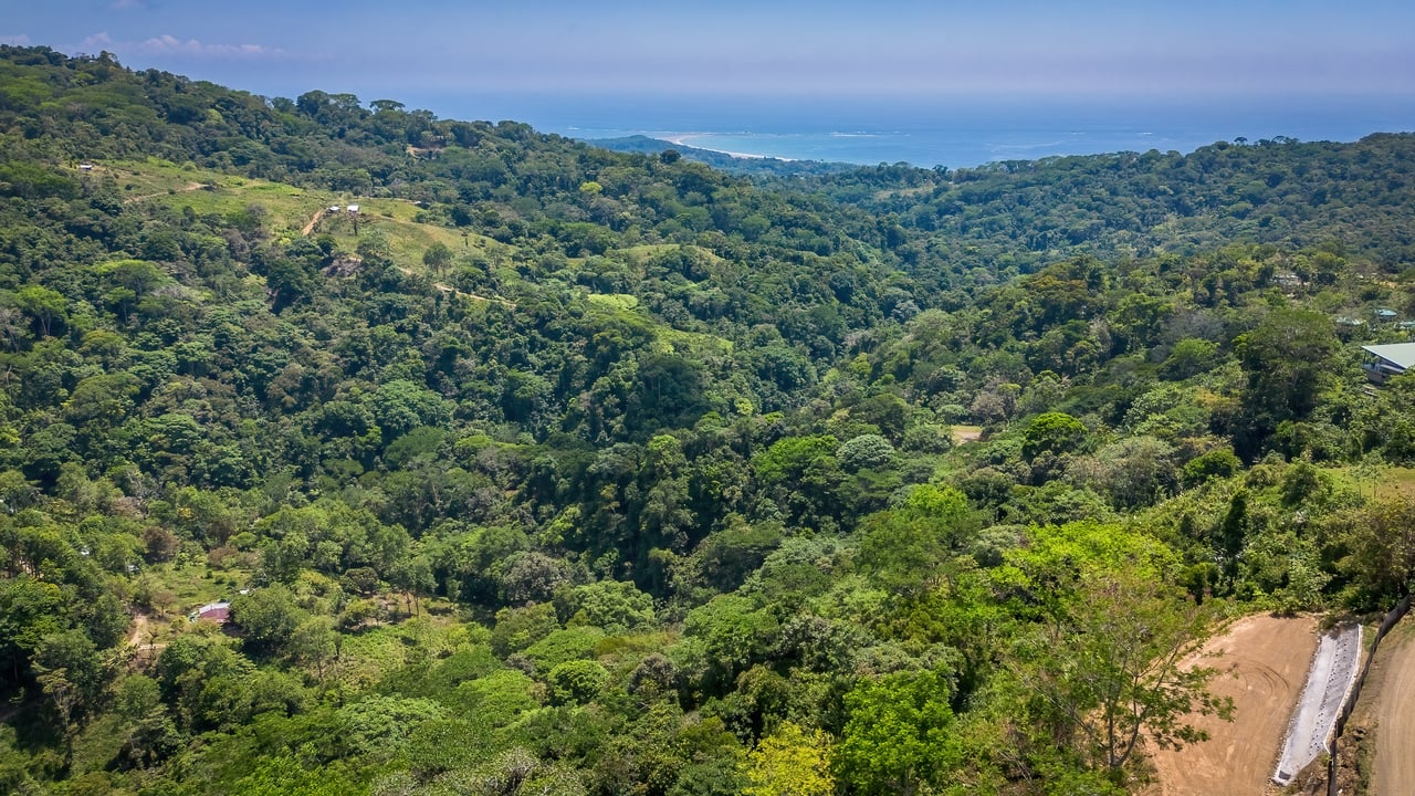 In-Demand 2.3-Acre Ocean View Homesite with Whale Tail Views | San Josecito