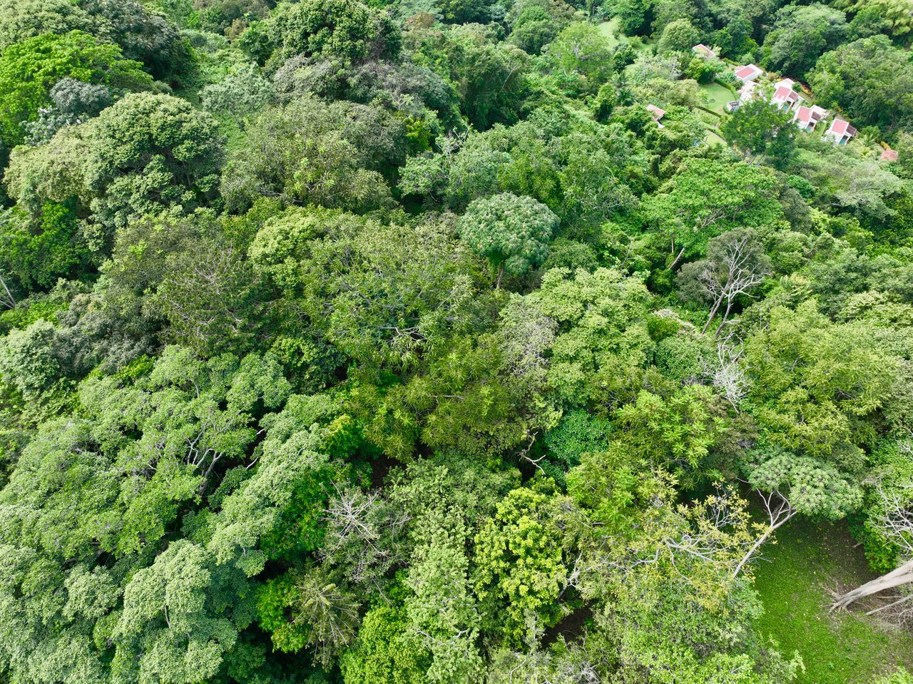 TROPICAL MASTERPIECE – 61.78 ACRES OF OCEANVIEW BLISS WITH WATERFALL