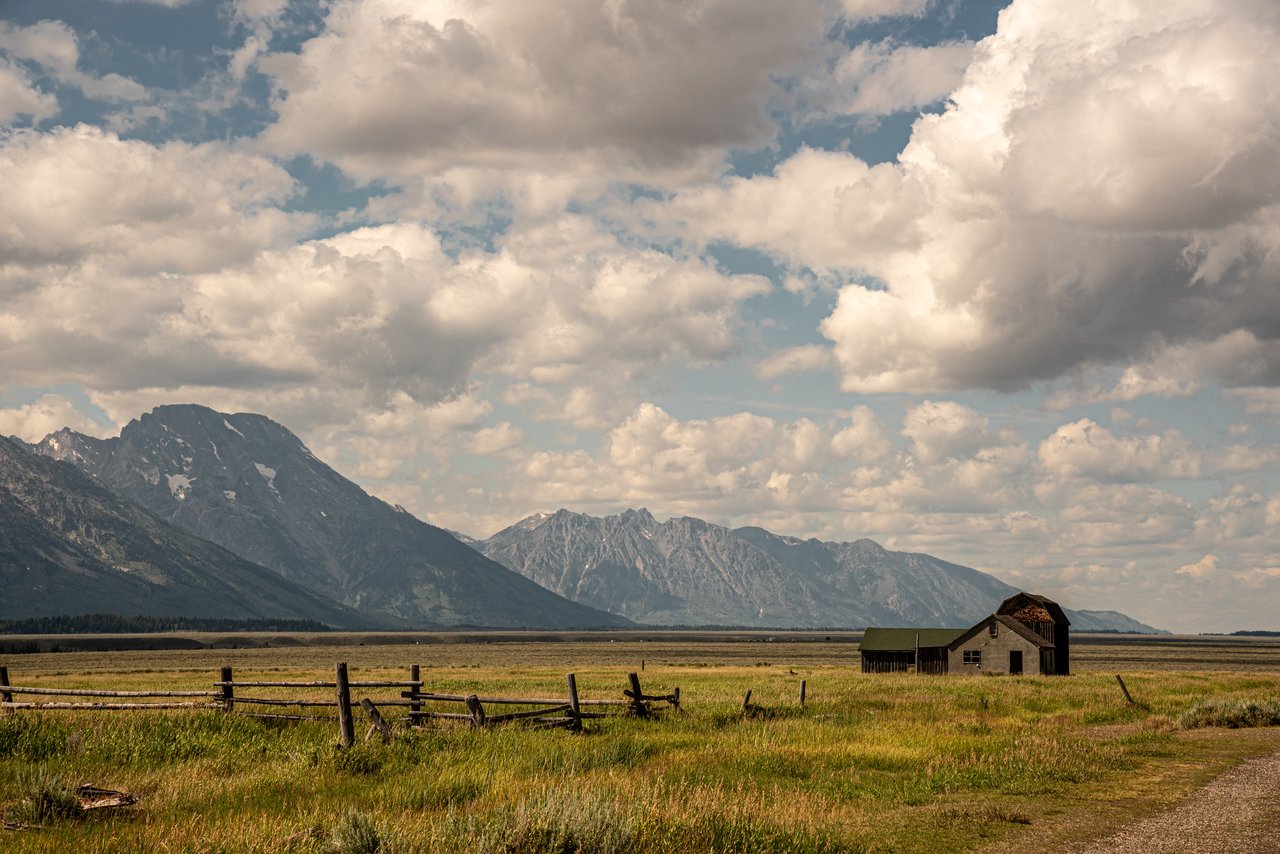 2025 Mid-Year Market Report | Jackson Hole & Teton Valley