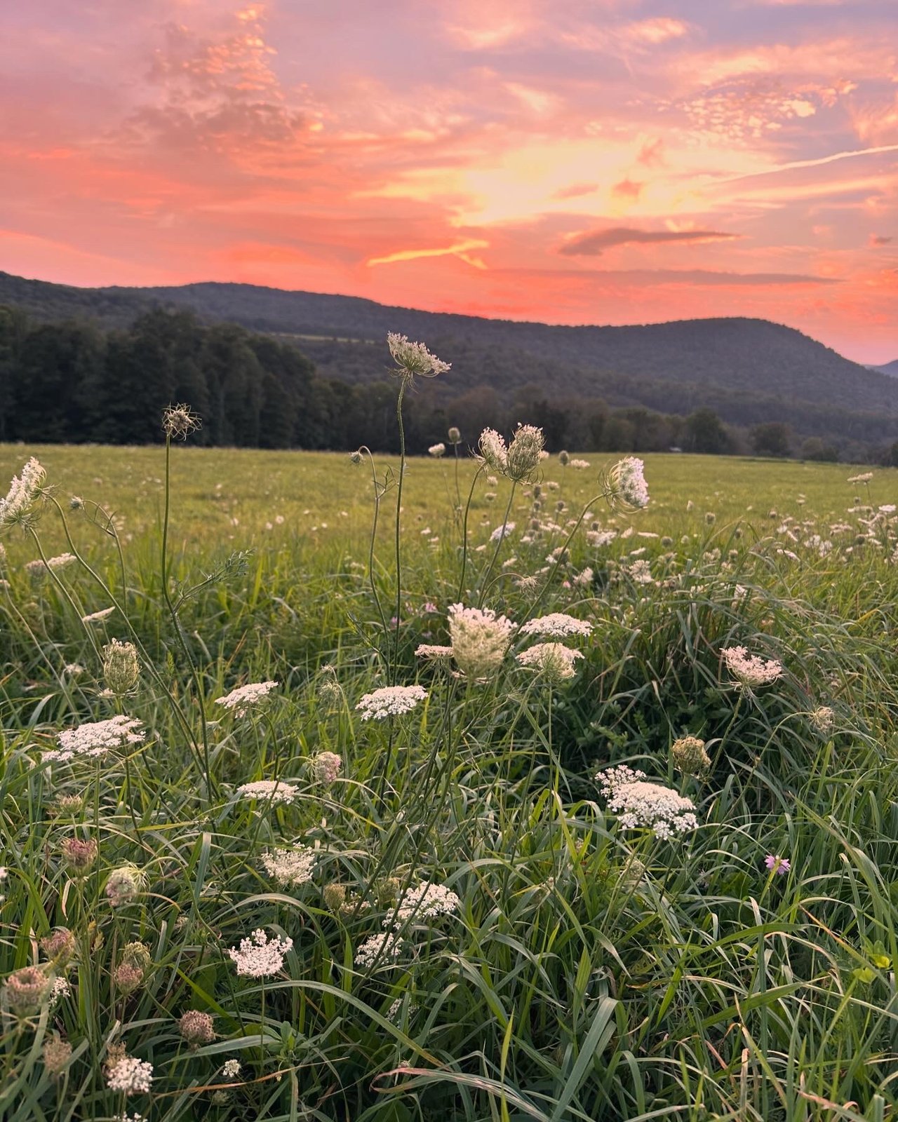 Living Where Nature’s at Your Doorstep