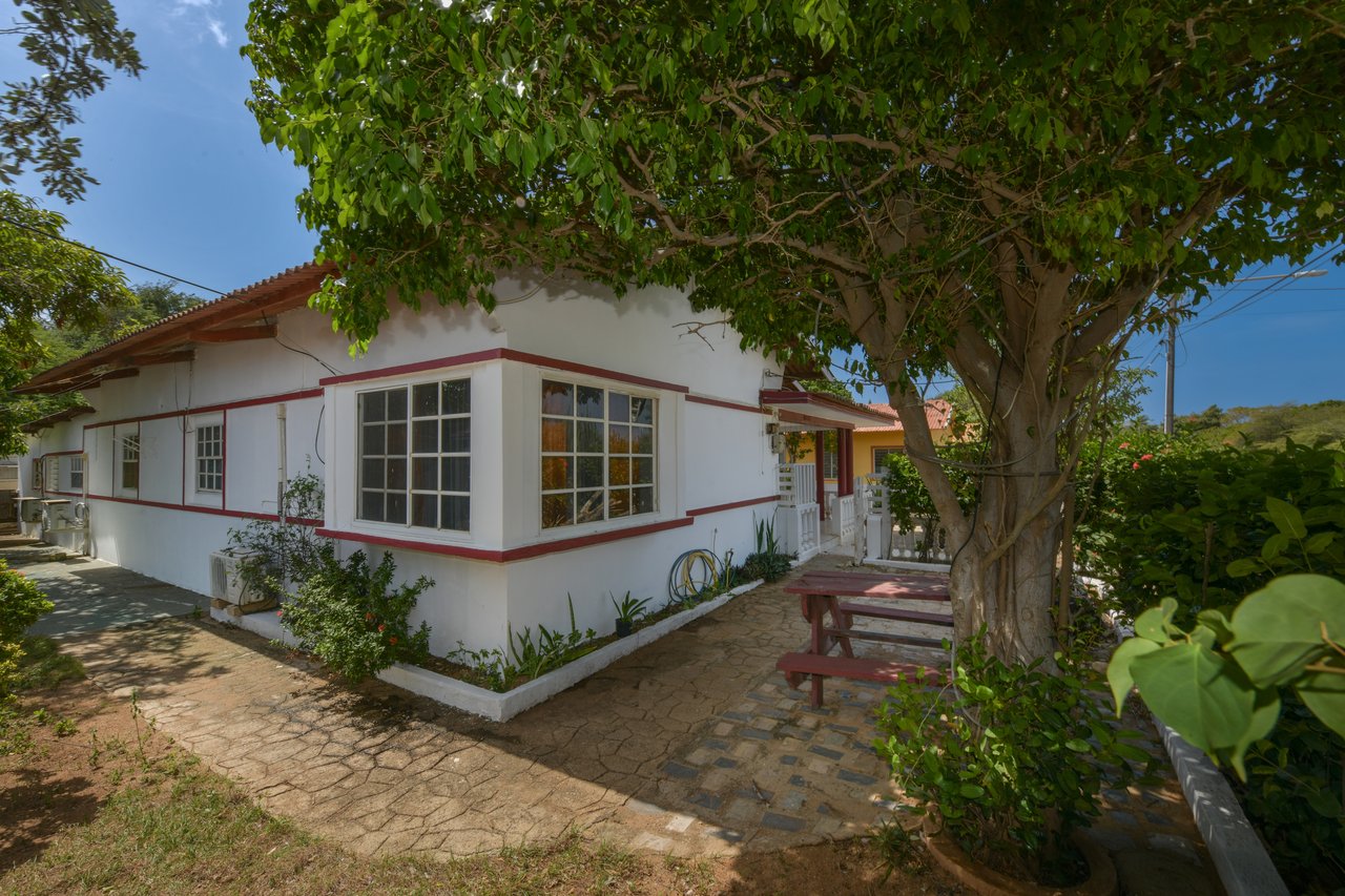 Noord Cura Cabai 125