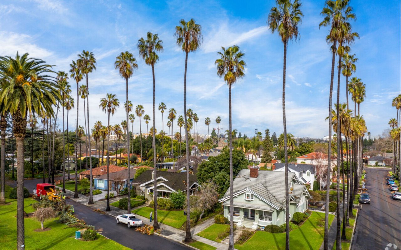 Willow Glen