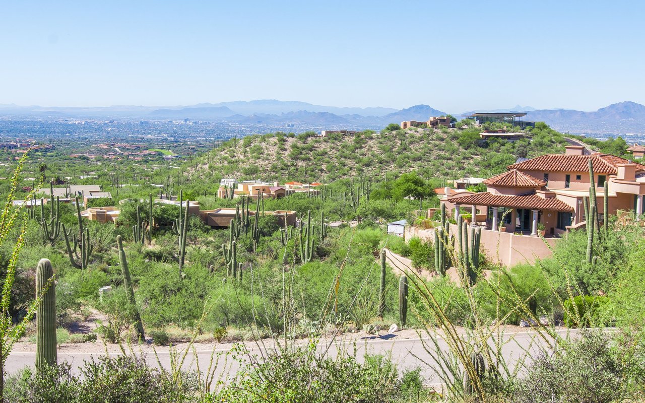 Tucson desert hillside homes amid saguaro cacti, with the city and mountains beyond.