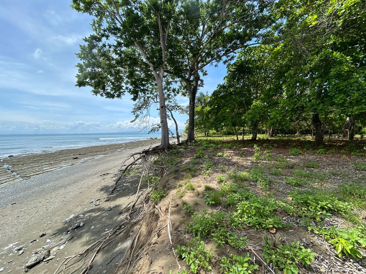 Unveil Your Dream Beachfront Sanctuary in Cabo Matapalo.