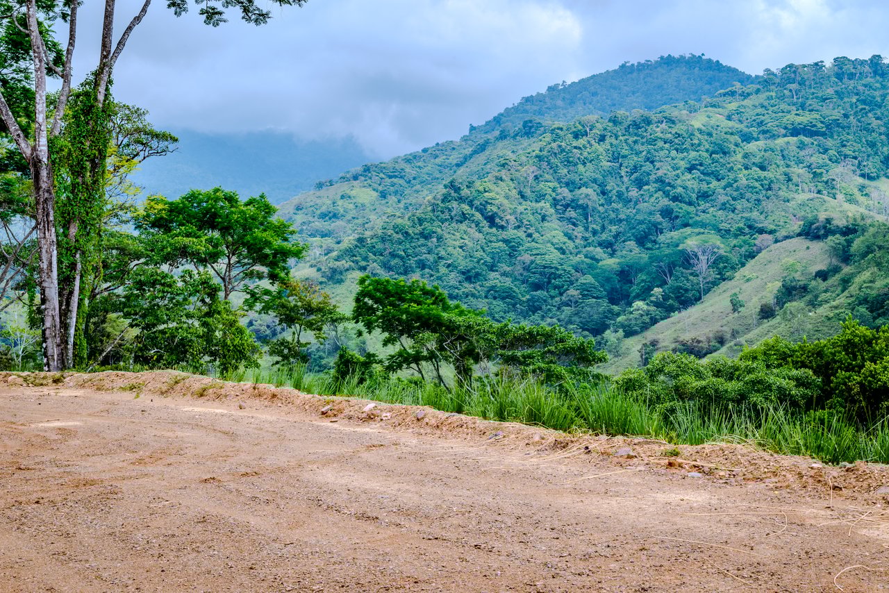 Stunning Oceanview Lot in the sought-after Uvita Hills Community