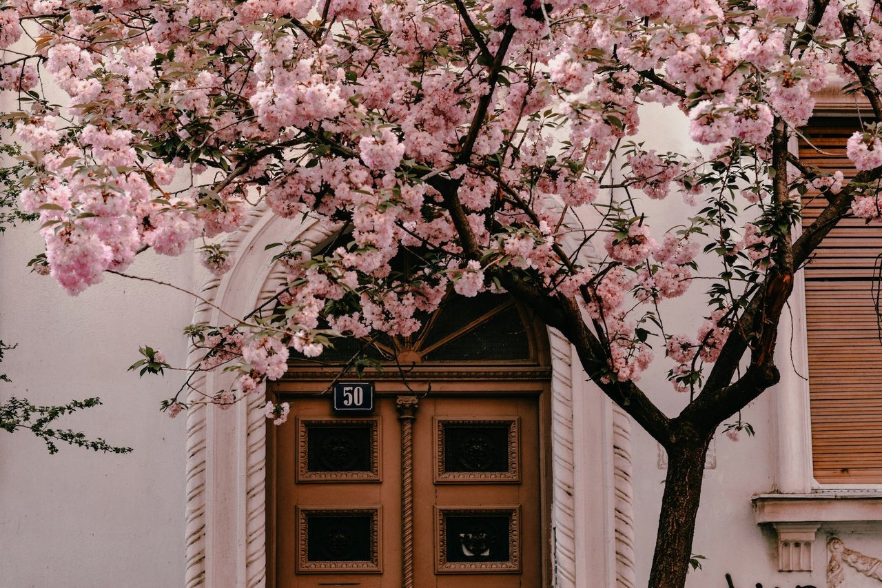 What Are Experts Saying About the Spring Housing Market?