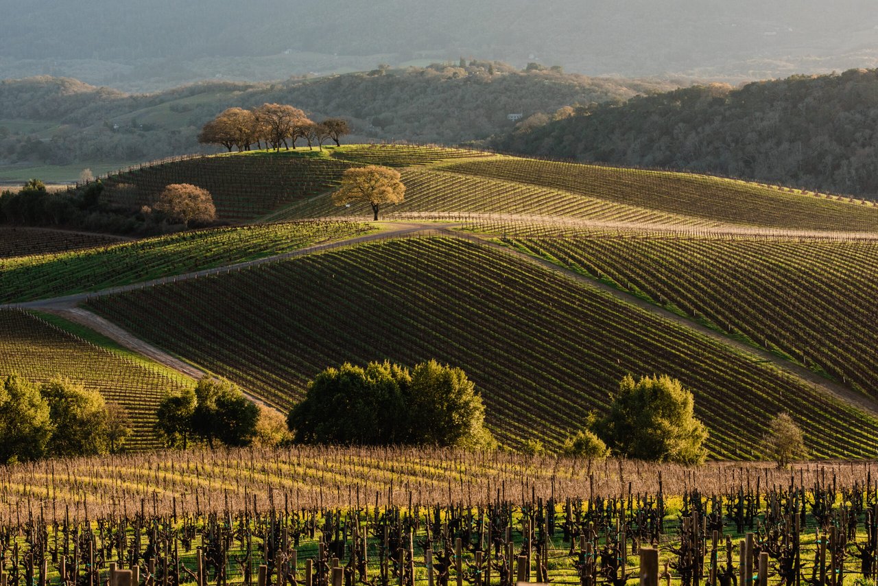 8 Reasons Why Winter Is a Great Time to Visit Sonoma Wine Country