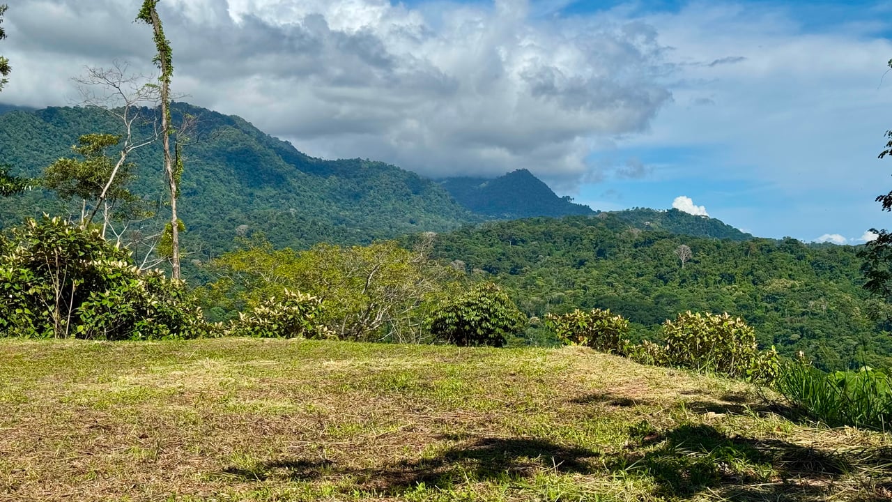 Las Terrazas Dream Estate | Spectacular Ocean & Mountain Views with a Waterfall 