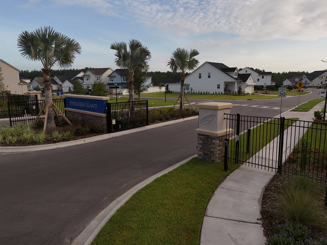 Evergreen Island neighborhood entrance with palm trees, a gated roadway, and homes along the street.