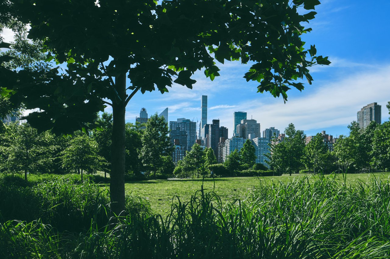 Estate and probate real estate sales on the Upper East Side, Manhattan with The Parviz Team
