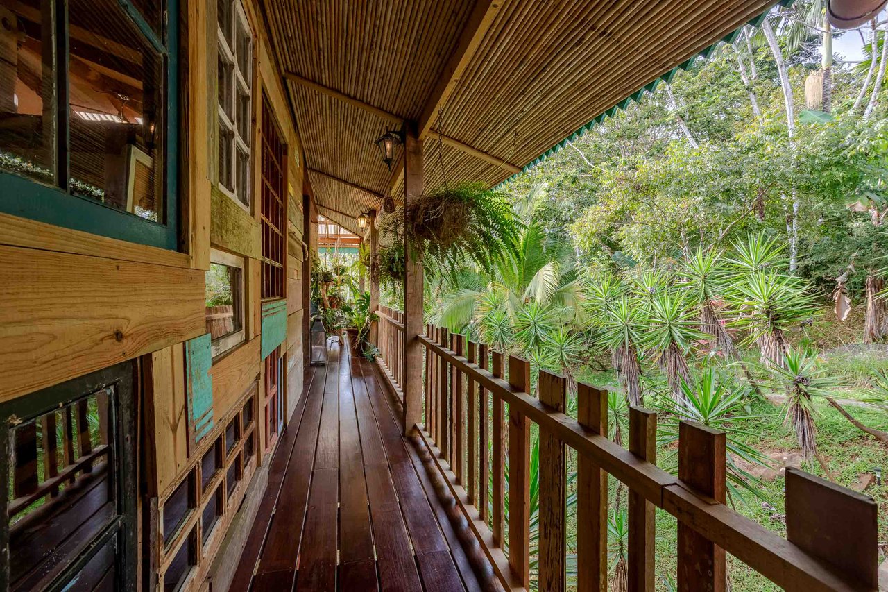 A Handcrafted Residence Immersed in Nature Above the Canopy Ocean View Architectural Home