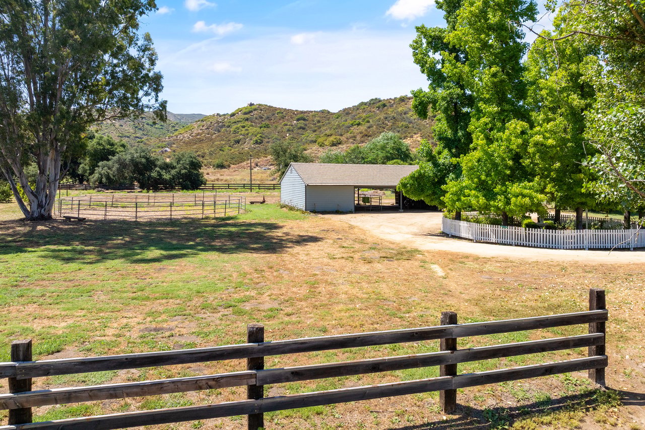 37797 Calle De Lobo