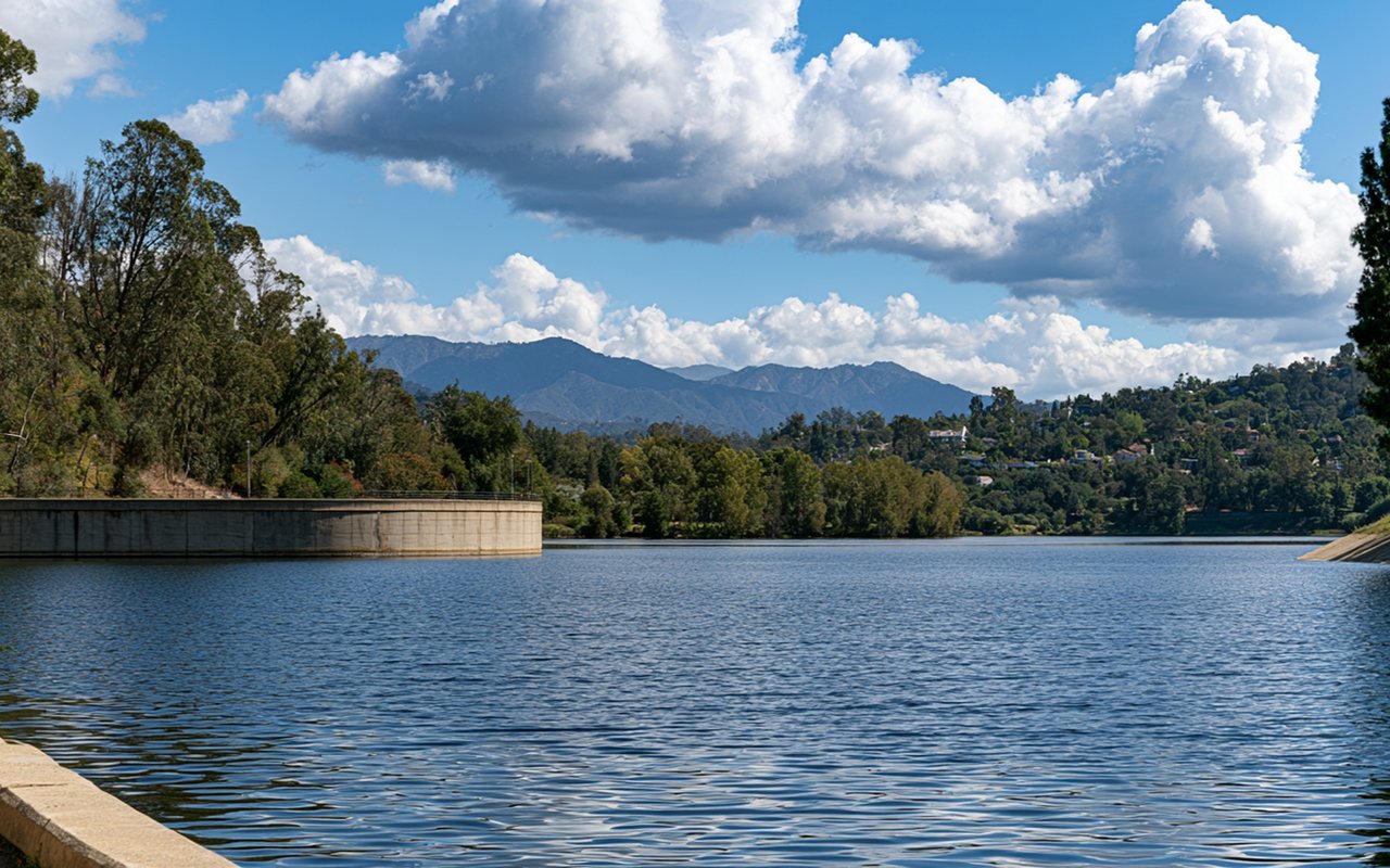 A Local's Guide to the Silver Lake Reservoir