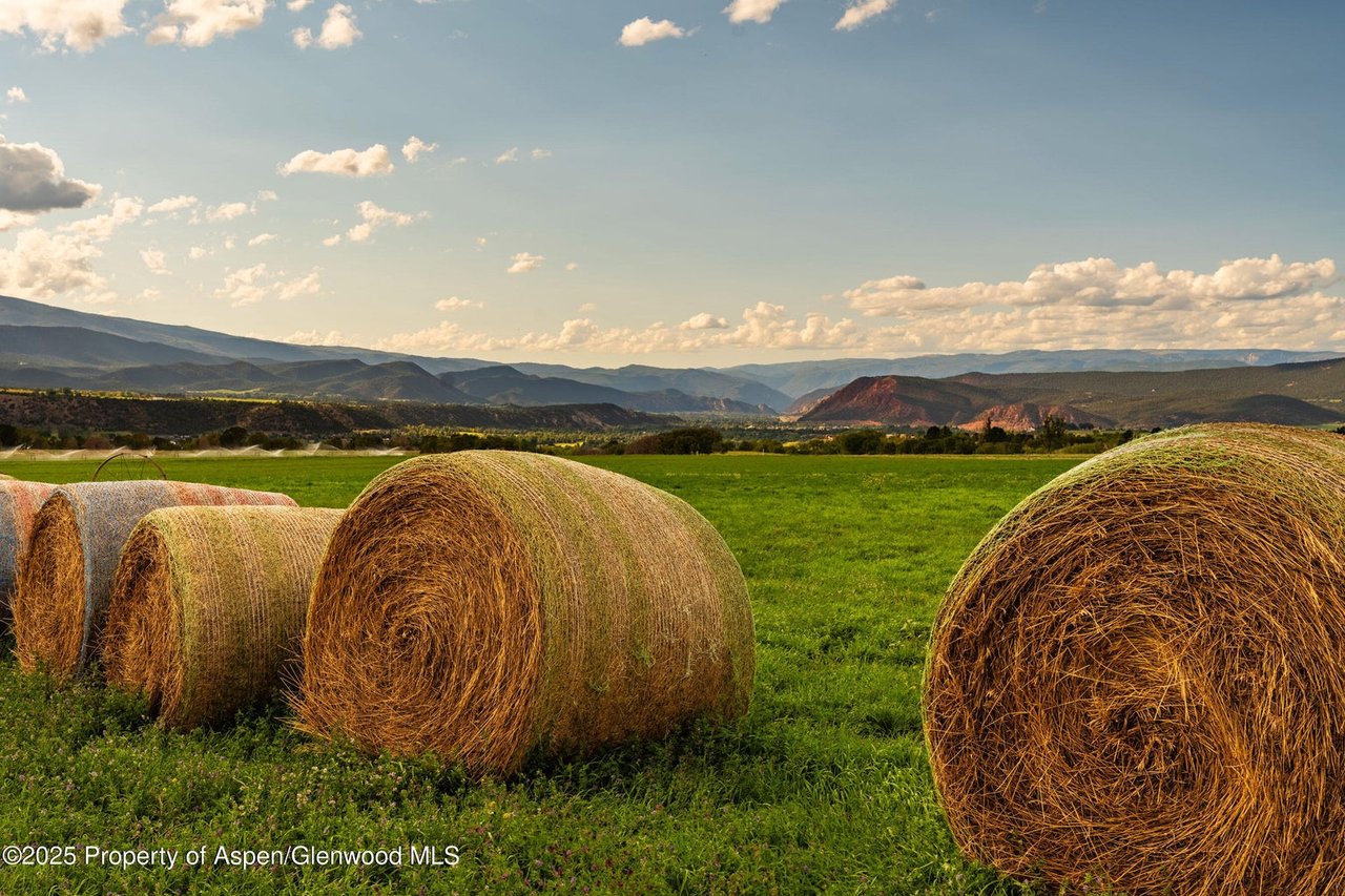 1644 Prince Creek Road