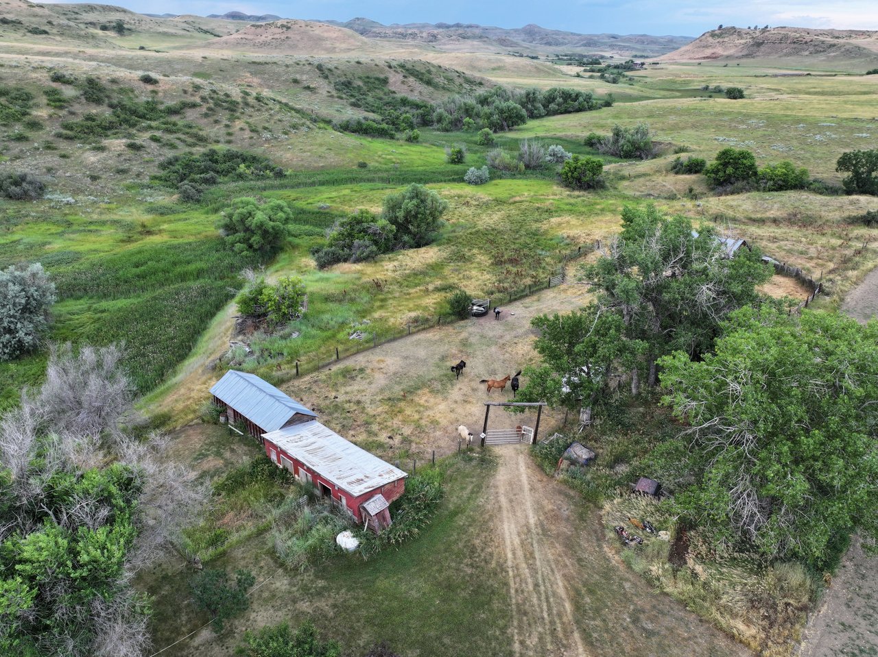Dutch Creek Ranch 