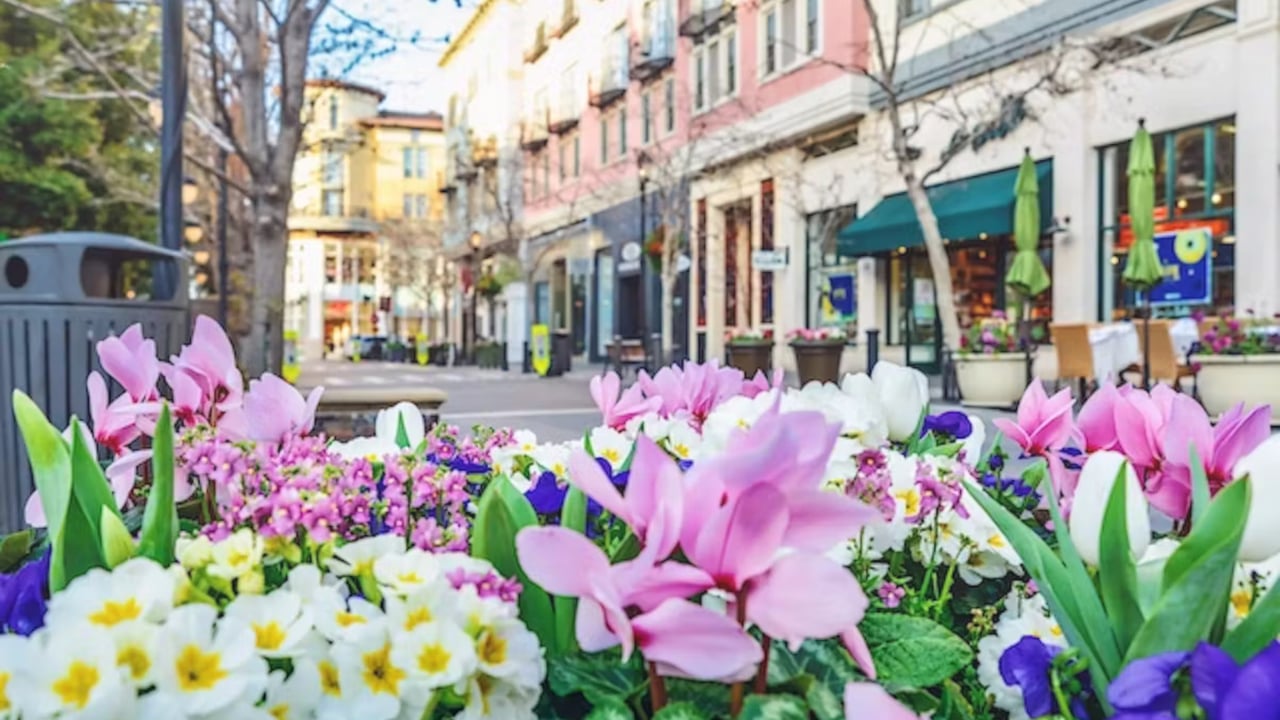Still on the Fence After Spring A Trusted Realtor’s Guide to Navigating the Summer Real Estate Market in Evergreen & Silver Creek
