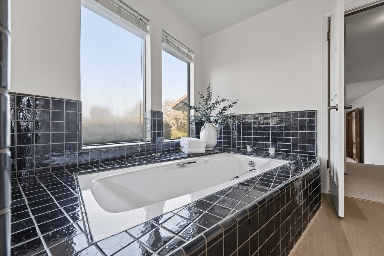 13918 Mir Mirou Drive