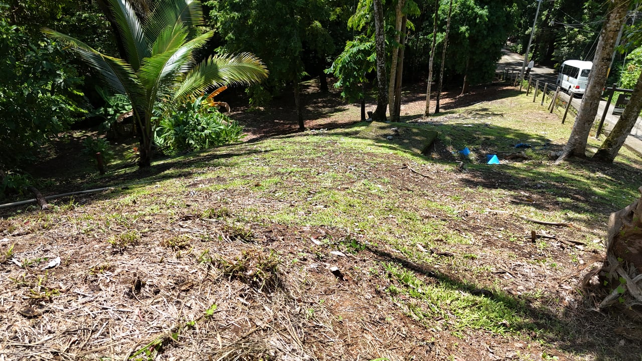 Walk to the Playitas beach, Titlled Building lot