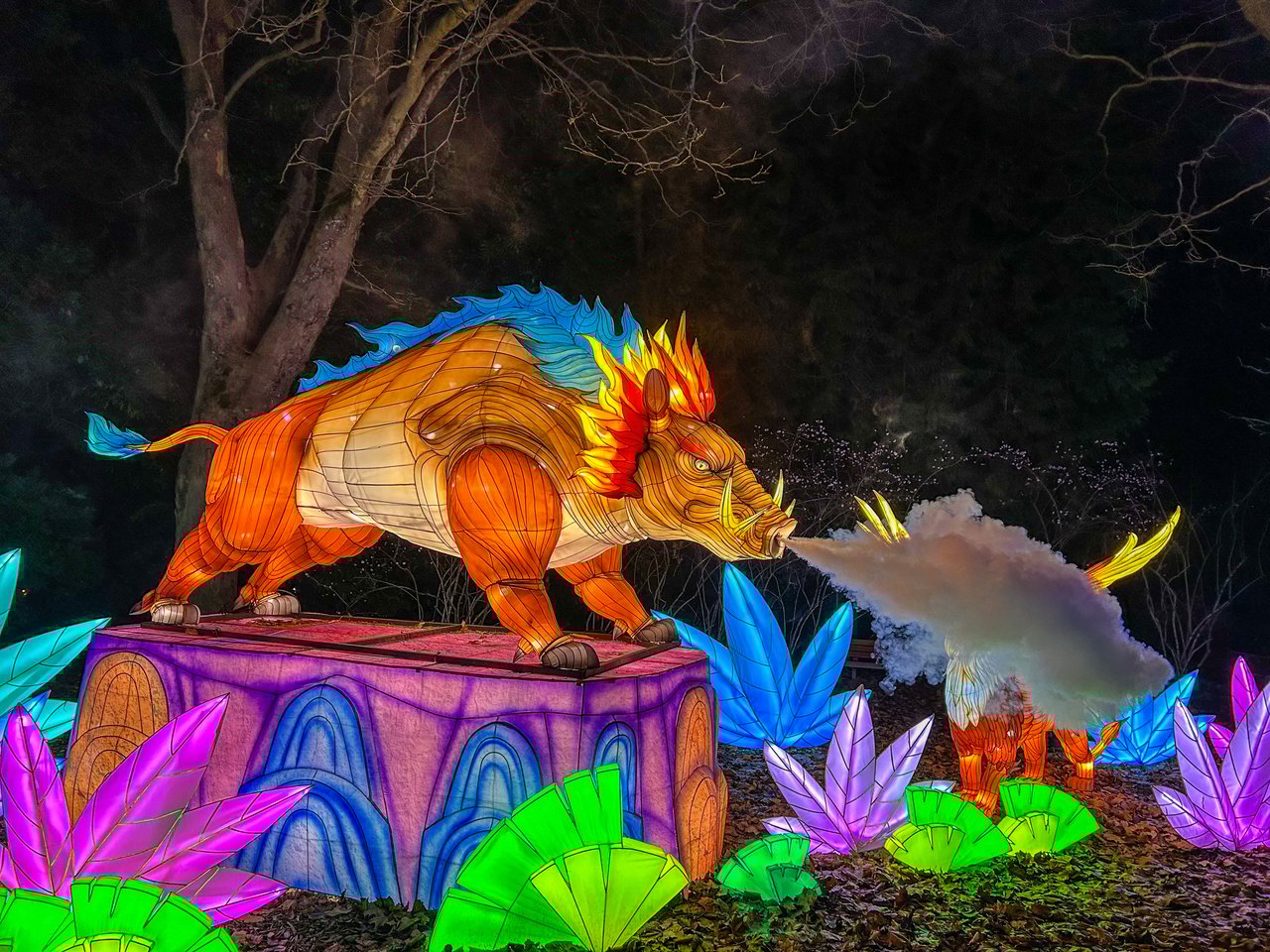 Seattle December 2024 Events 