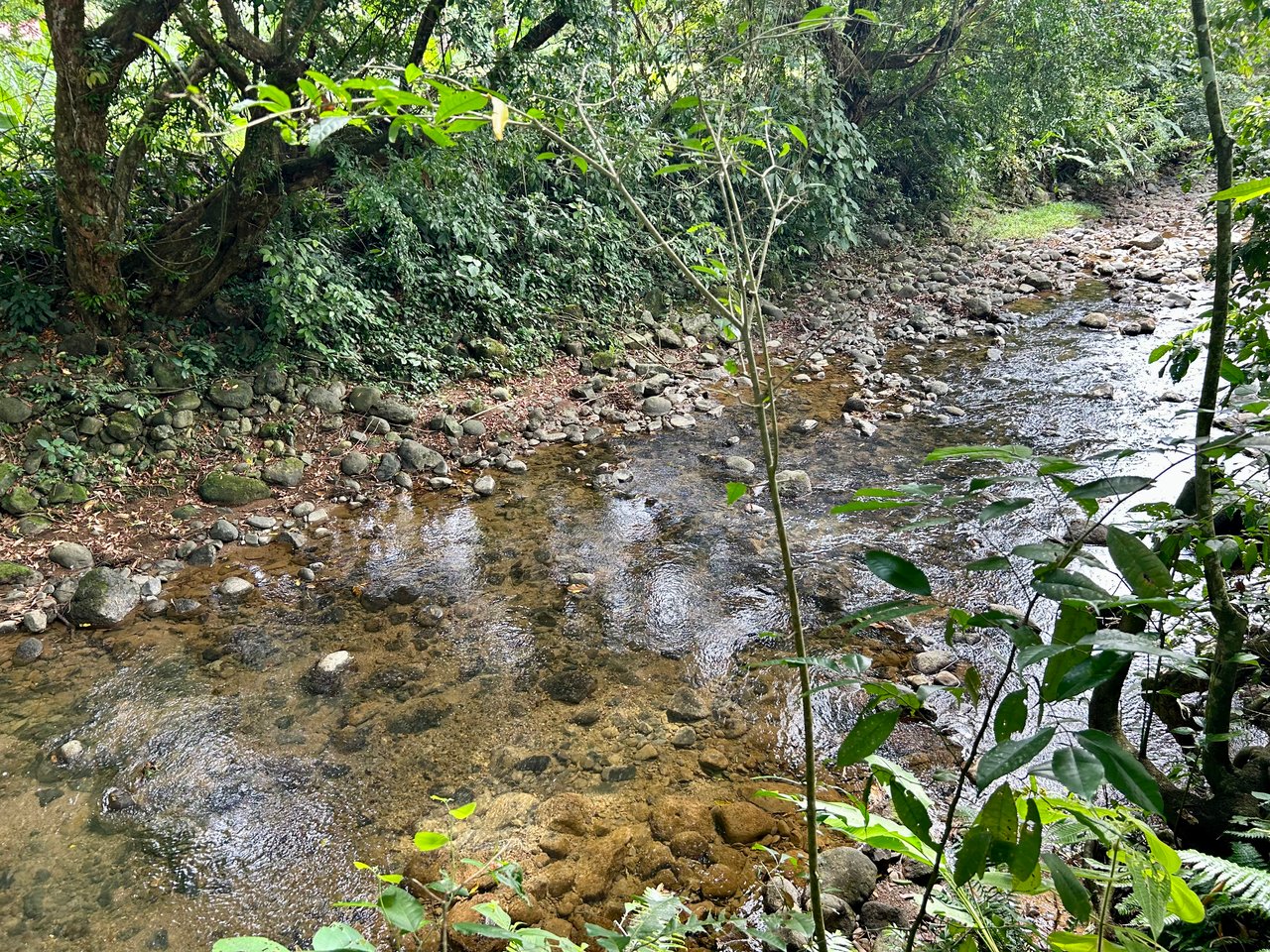 Hatillo Breeze, 2 Bedroom Home on 1,311m2 of usable land and year round creek!