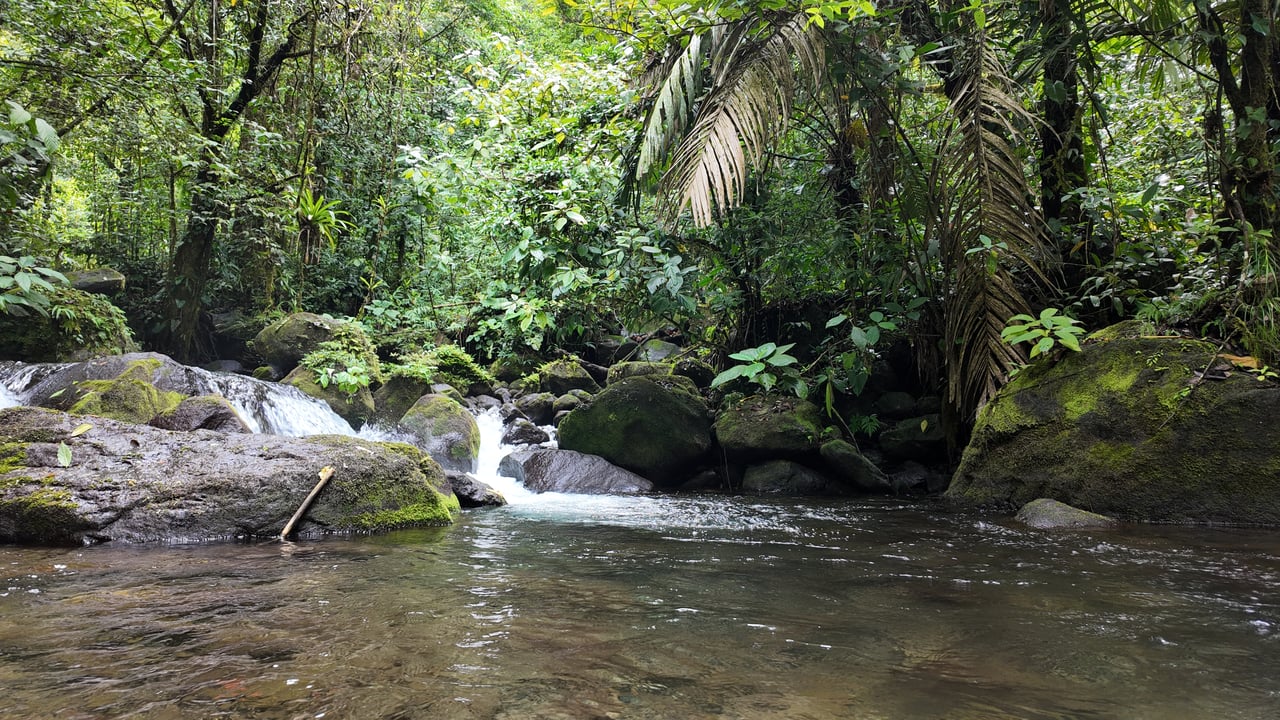 10.5 Hectares Rio Celeste - Nature Lover's Dream - Bijagua 