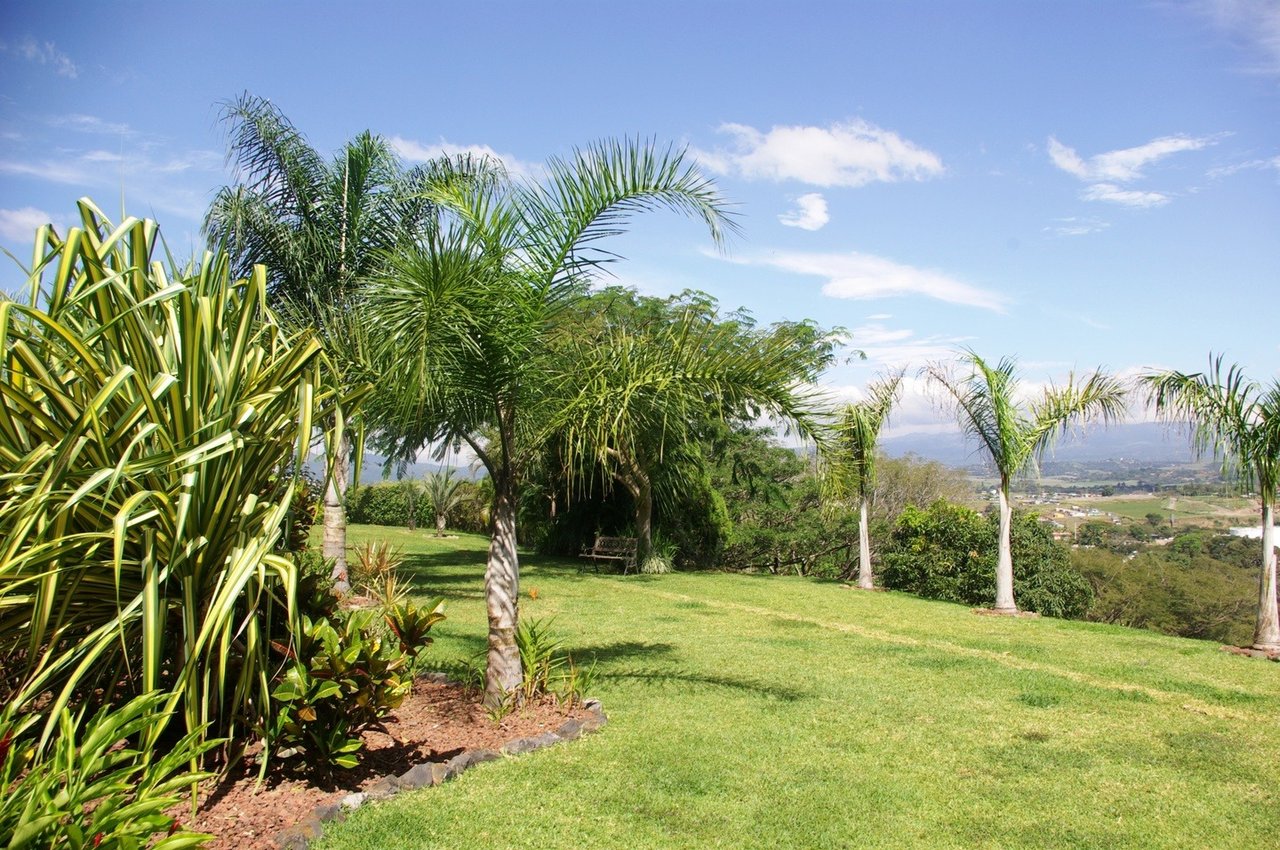 Luxurious Country Villa