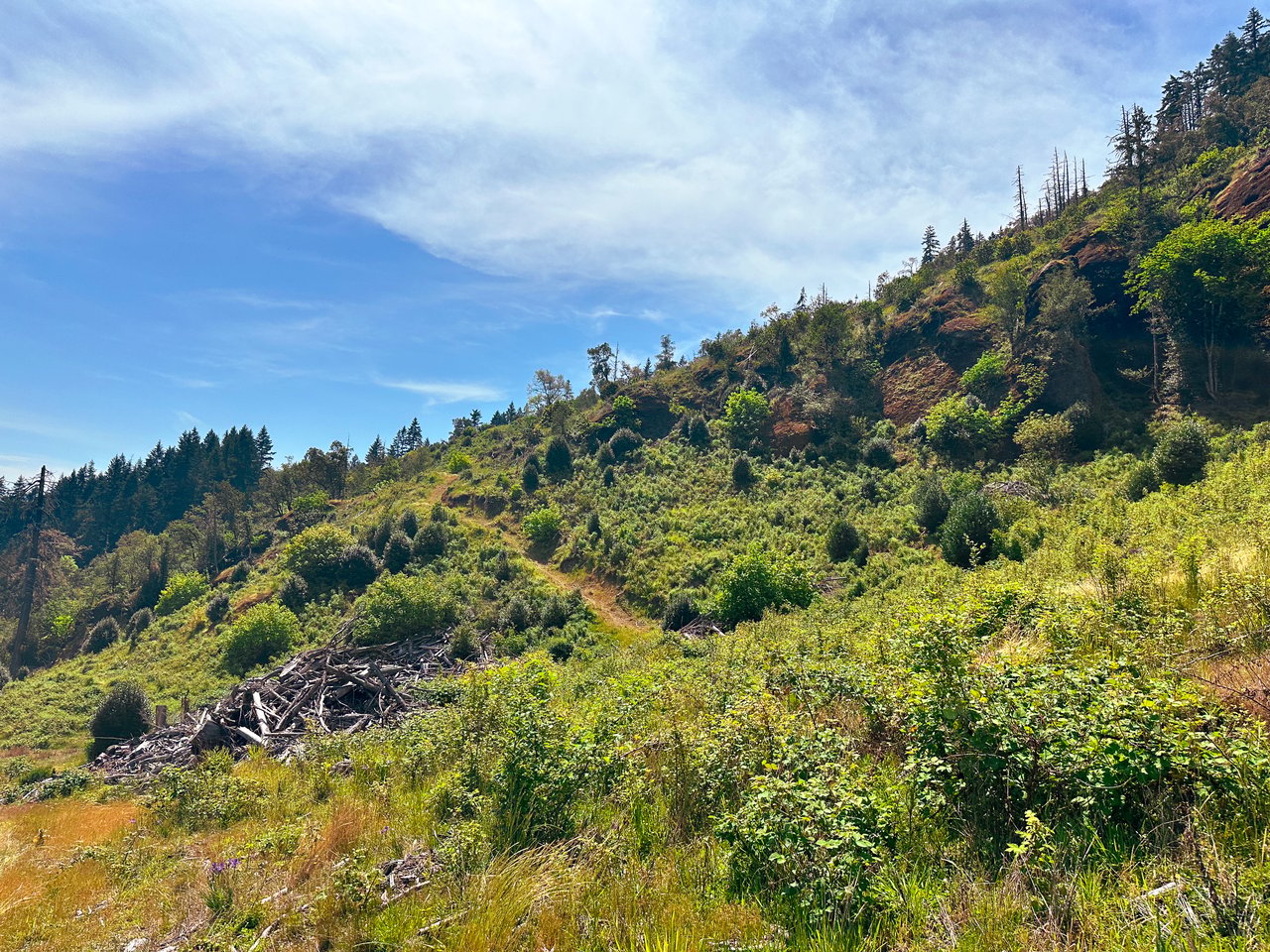 STRICKLAND CANYON HOMESITE