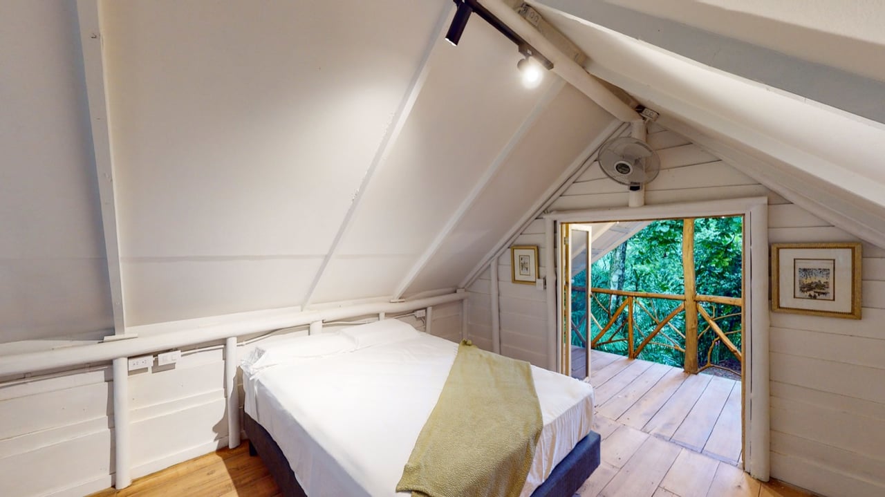 Five Star Private Rainforest Estate on Acreage with Creek