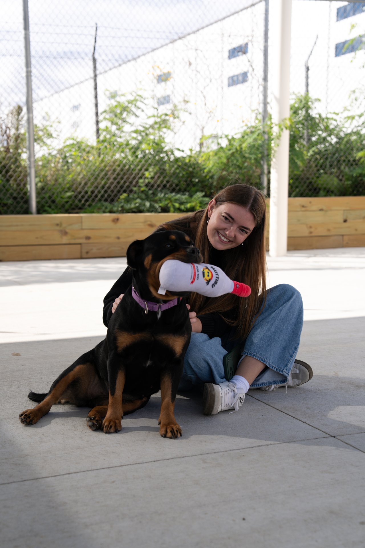 A woman sits beside a black-and-tan dog holding a plush toy.
